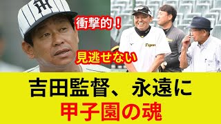 吉田義男監督、衝撃の事実！秘蔵写真公開？