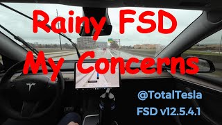 My Concerns in the Rain - Tesla FSD v12.5.4.1