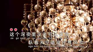 黄慧仪~水中花