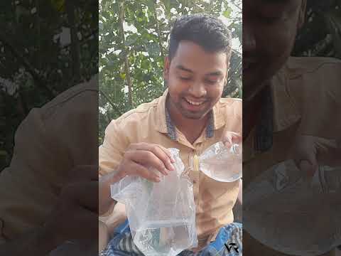 Carybagg vs Water Experiment #Shorts