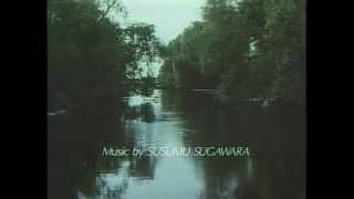 iichiko TVCM 1987 ドナウ篇