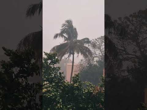 Finally Rain in Bengaluru | IISc Bangalore #shorts #iisc