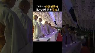 영가님들을 밝은 길로 인도하겠습니다💡｜ #백중 #점등식 #매주토요일 #봉은사 #백중기도 #우란분절