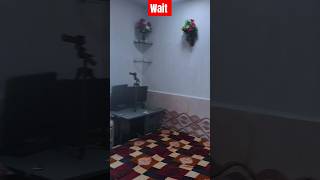 YouTube setup // Room setup // #roomdecor #roomsetup #paintingtutorial
