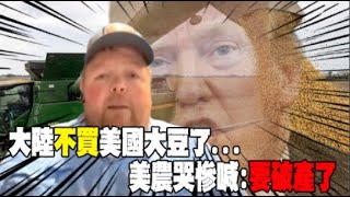 大陸不買美國大豆了...哭慘! 美農民曝真實心境直言:2027年我們恐面臨大規模破產