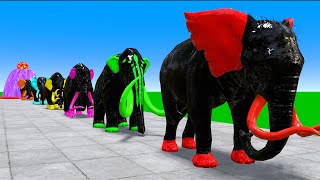 Paint Animals Mammoths and Elephants Size Comparison Fountain Crossing Animal Game Transformation