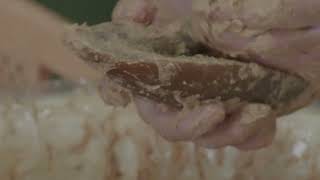 奈良漬の魅力　辰巳屋食品株式会社
