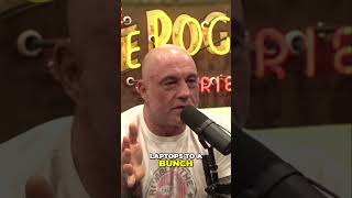 The Wild Life of McAfee  Genius or Troublemaker #rebelism #podcast