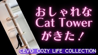 おしゃれキャットタワーが届いた日｜A Stylish Cat Tree for Sebuo Arrives!