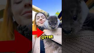 This Sad Otter Finally Found a Family! ❤️