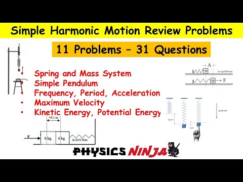 Simple Harmonic Motion Review