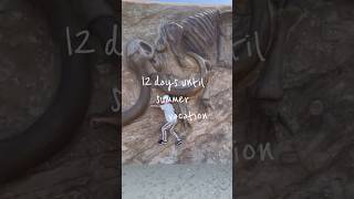 【夏休みまでカウントダウンあと12日】 #vlog #家族でおでかけ #アスレチック #公園