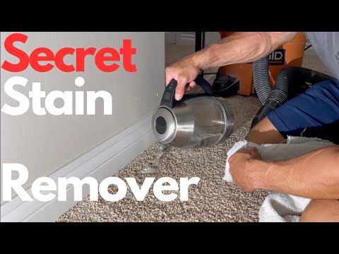 Secret Carpet Cleaning Tip That I Learned From a Pro!
