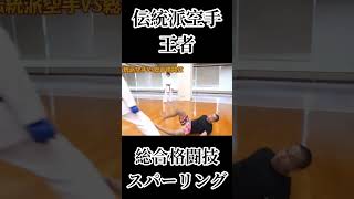伝統派空手王者と真剣勝負vs総合格闘技×熊澤伸哉