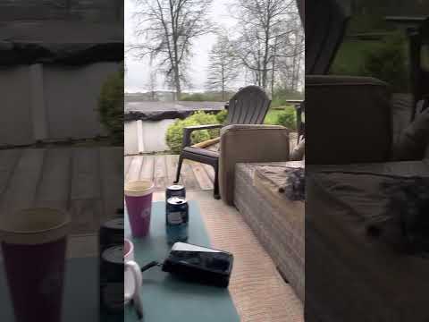Birdwatching with Fozzy