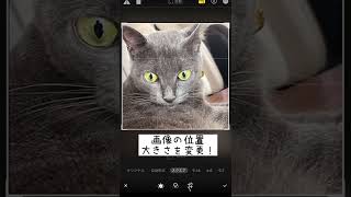 【スマホ動画編集アプリ_VITA】画像をスクエアに変える iPhone偏　#shorts