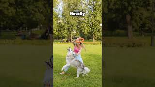 Part 1 … 🐶🐕🦮🐩🐕‍🦺🦴 #shorts #petfacts #dogs
