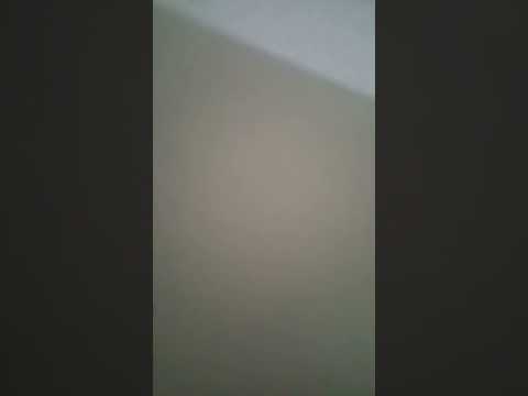 ask anything you guys say