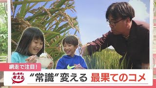 マチの自慢は“監獄だけじゃない” 稲作の常識を変える“畑で育てる”抜群に美味しいお米に注目！『陸稲』に挑んだ農家の情熱　北海道網走市