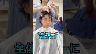 【癖毛の方、パーマも活かせる！ムースセット】#shorts #ショート動画 #パーマ #ヘアセット #ヘアアレンジ #美容師#美容室 #メンズファッション