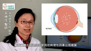 飛蚊症 / 永和耕莘眼科 宋穗佳醫師