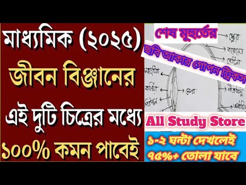 Madhyamik Life Science Suggestion 2025 ✅ ✅ জীবনবিঞ্জানের এই দুটি চিত্রের মধ্যে একটি ১০০% কমন পাবেই