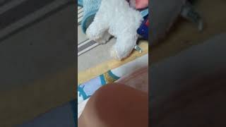 発疹