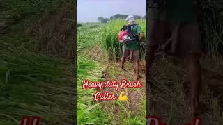 Heavy duty Brush Cutter 💪💪|| Grass Cutter #brushcutter #grasscuttingmachine