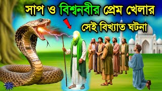 দয়ার নবীজি ও সাপের সেই বিস্ময়কর ঘটনা।  ইসলামিক সত্য ঘটনা | নবীদের কাহিনী | রহমতের কাহিনী