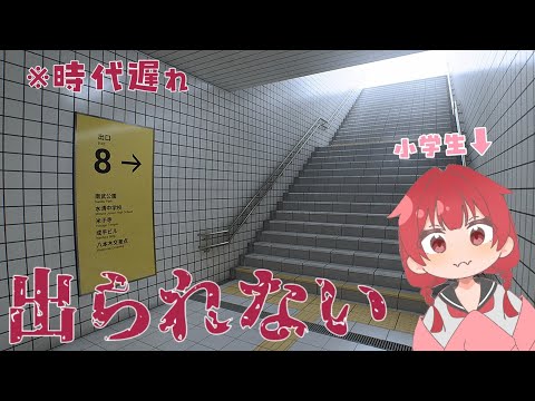 【八番出口】え？今更？超時代遅れ「８番出口」やっていく！！