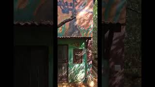 Cottages in Tacugama Chimpanzee Sanctuary Sierra Leone