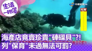 海產店竟賣珍貴"硨磲貝"?! 列"保育"未過無法可罰?!