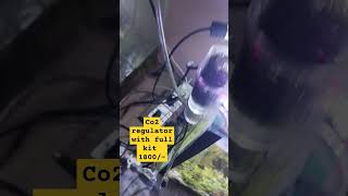 Co2 kit at a cheap price #aquascape #co2 #co2regulator #aquarium #natureaquarium #wowaquarium