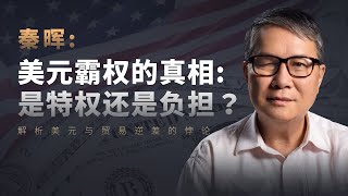 美元霸权的真相：是特权还是负担？解析美元与贸易逆差的悖论 | 秦晖 | 21世界全球化危机 | 贸易逆差 | 特里芬悖论 | 国际货币 | 美国债务 | 布雷顿森林体系 | 金融危机 | 全球化