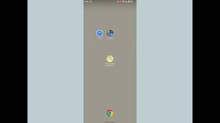 One-Hand-Operation-Support app startup.