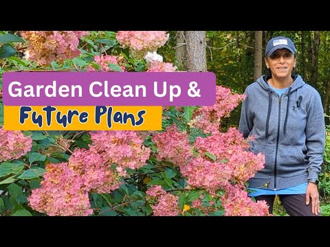 Cutting Back Peonies Daylilies Coneflowers Perennials | SO SATISFYING!