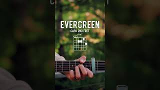 Evergreen Richy Mitch & The Coal Miners Caamp Guitar Tutorial // Evergreen Guitar Lesson