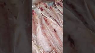 Marinated Skipjack Fish Ready To be Fried #skipjack # marinated #fishrecipe #skipjackrecipe