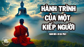 Hành Trình Của Một Kiếp Người | Bài Giảng Phật Pháp Tu Thân, Tịnh Tâm, Nghe Dễ Ngủ