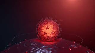 Targeting ACE2 Receptors to prevent SARS-CoV-2 (COVID-19) virus from Attacking Human cells