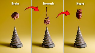 The Most Refreshing Blender 3D Physics Simulation [Compilation]