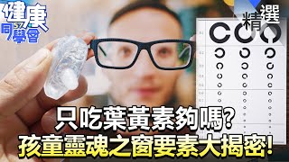 只吃葉黃素夠嗎？孩童靈魂之窗「要素」大揭密！【57健康同學會】精華篇｜廖慶學 嚴立婷 魏智偉 陳柏臣 曾相為 巫嘉芬
