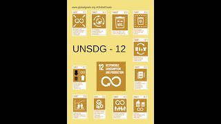 UNSDG 12: Teaching Responsible Consumption!