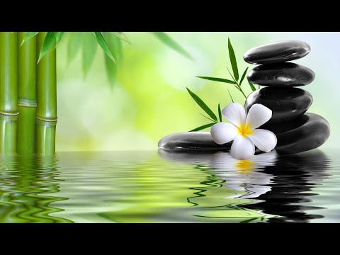 🍁All your worries will disappear if you listen to this music ☘️ Calm The Mind