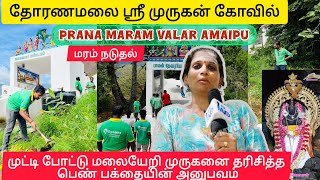 தோரணமலை ஸ்ரீமுருகன் கோயிலில் Pranaa அமைப்பினர் மரம்நடுதல் | முருக பக்தர்களின் அனுபவம் |காவடியாத்திரை