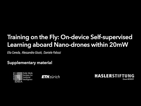 Training on the Fly: On-device Self-supervised Learning aboard Nano-drones within 20mW