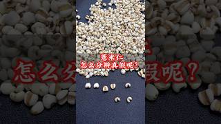 薏米仁如何分辨真假？ #中醫 #健康科普 #科普 #健康 #中医 #健身 #医学科普 #涨知识 #知识分享 #養生
