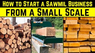 How to Start a Successful Sawmill Business from a Small Scale || Timber Business Plan