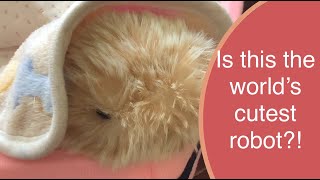 Moflin AI Robotic Pet Unboxing & First Impressions - Cutest Robot EVER 😲😍