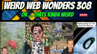 weird web wonders 308